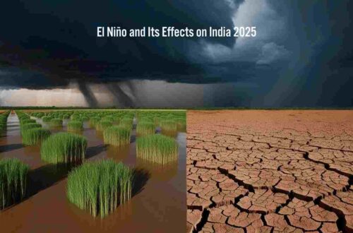 El Niño and Its Effects on India