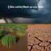 El Niño and Its Effects on India